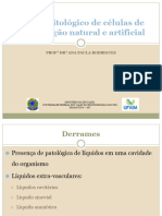 Aula 7 - Estudo Citológico de Células de Descamação Natural e 2