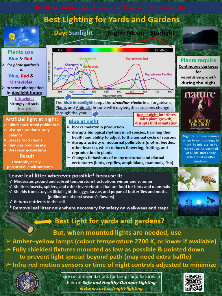 Eco-Friendly Night Lighting Guide | PDF