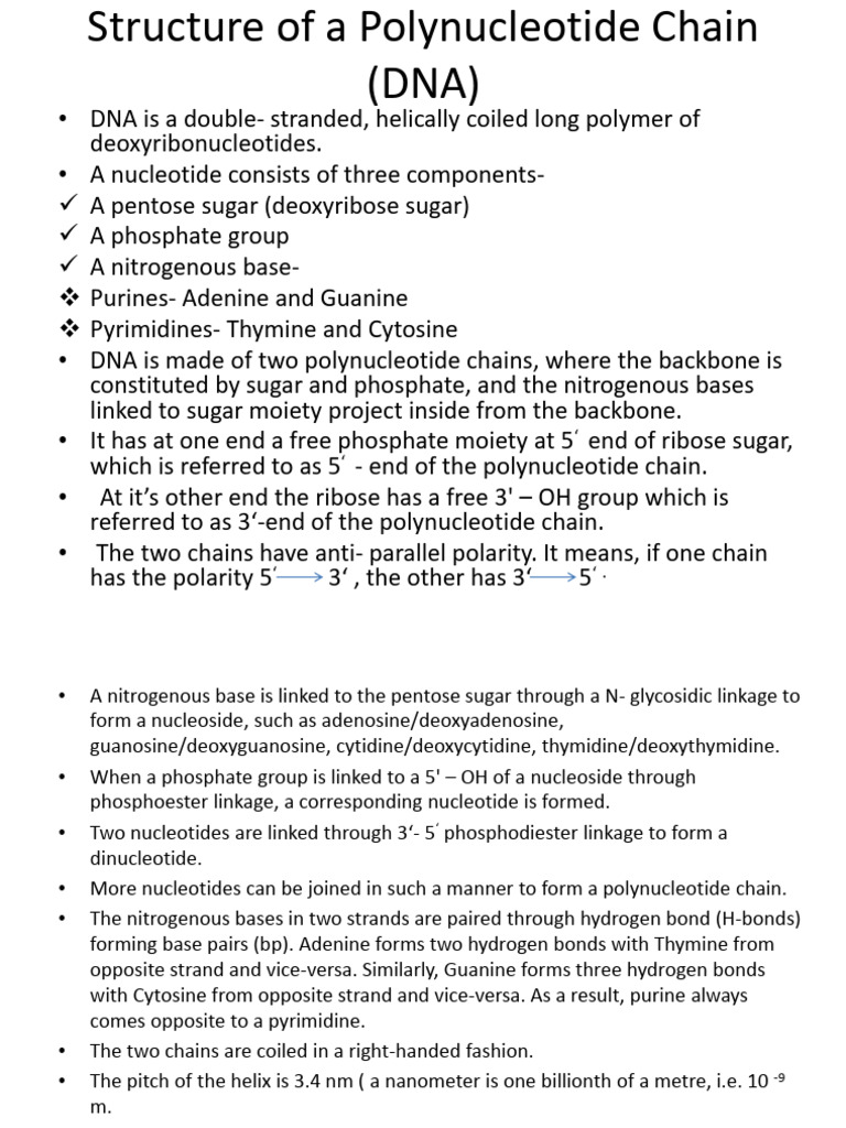 Structure and Function of DNA and RNA | PDF | Translation (Biology ...