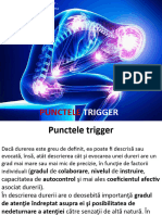 Managementul Durerii - Curs 7 - Puncte Trigger