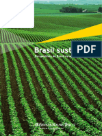 Perspectivas Do Brasil Na Agroindústria