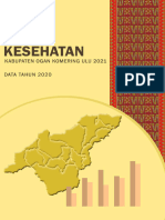 Profil Kesehatan OKU 2021