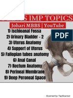 Pelvis Anatomy L Johari Mbbs - 240111 - 005038