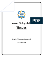 Human Biology Lab 5 Tissues