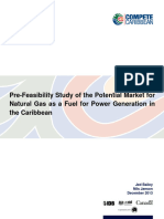 Pre-Feasibility Study of The Potential Market For Natural Gas As A Fuel For Power Generation in The 2