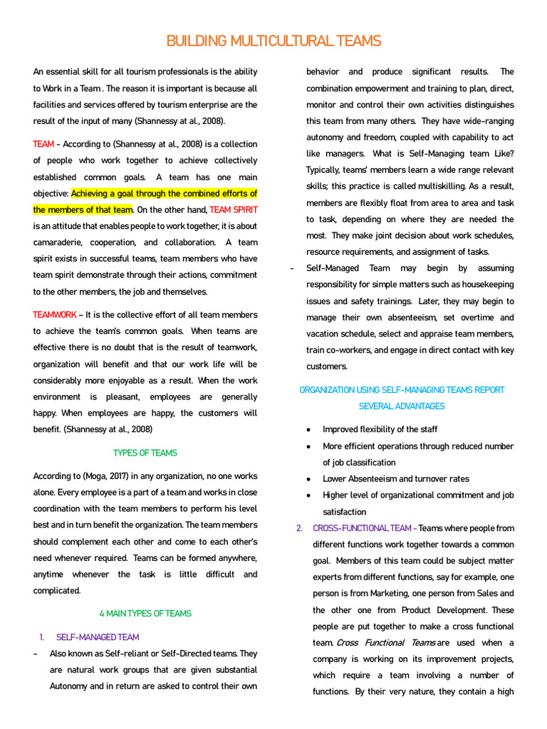 MCD - Building Multicultural Teams | PDF