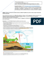 T1 C1 A4 PB Cycle Carbone