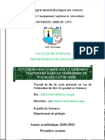 Synthese Geologique Du Gisement Stannife