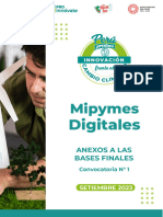 Anexos de Bases Finales Mipymes Digitales 15.09.23 (8)