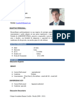 CV Actualizado Sandro Hoyos Dávila