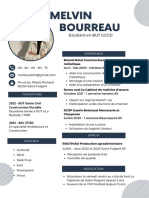 Melvin Bourreau CV