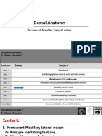 DA Lec.5 Permanent Maxillary Lateral Incisor