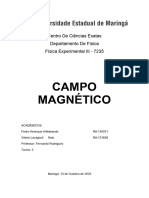 Relatorio Campo Magnetico