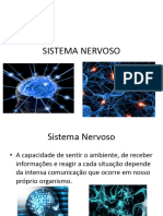 Sistema Nervoso Central e Periférico 1
