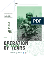 Operation Valley of Tears