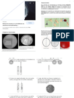 Imagenes Bacteriologia