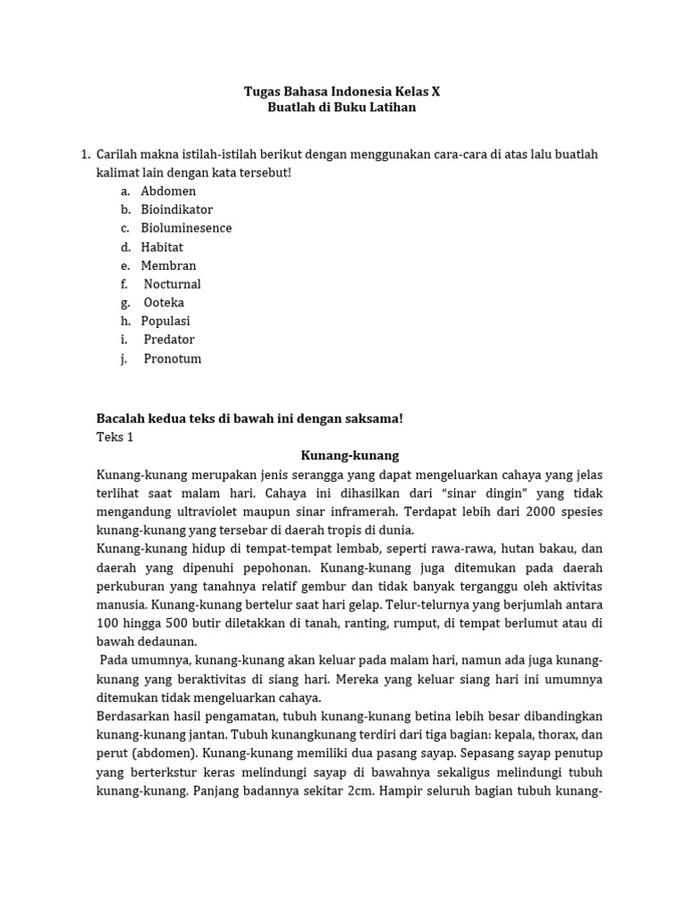 Tugas Bahasa Indonesia Kelas X | PDF