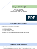Gota y Fibromialgia