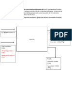 Proceso de Inyección Inmediata ALSA