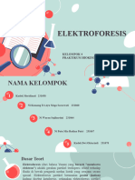 ELEKTROFORESIS