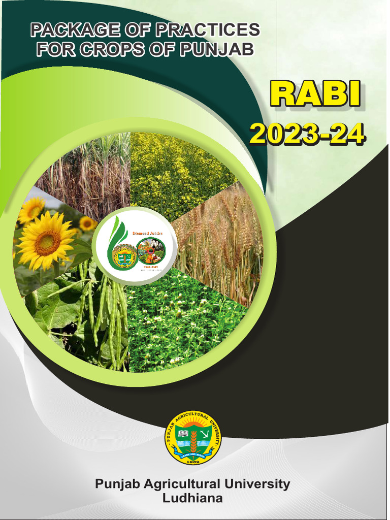 PP Rabi | PDF | Sowing | Fertilizer