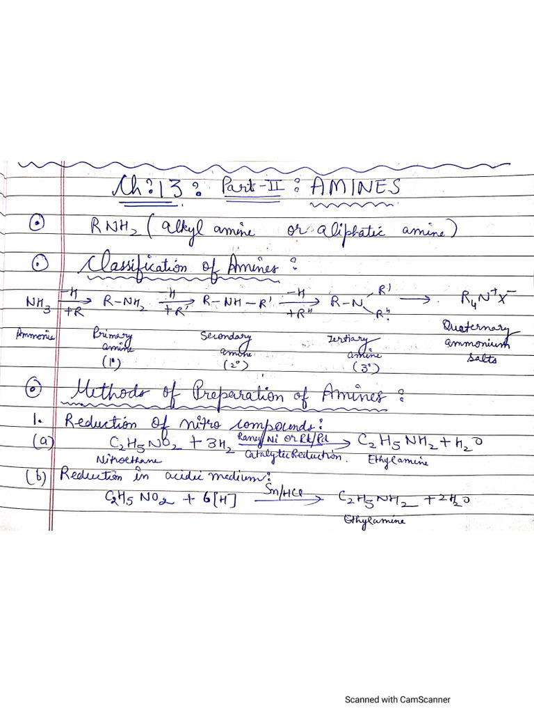 CH 13 Notes | PDF