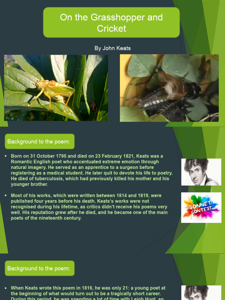 The and the cricket final PDF