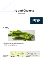 Celery and Chayote