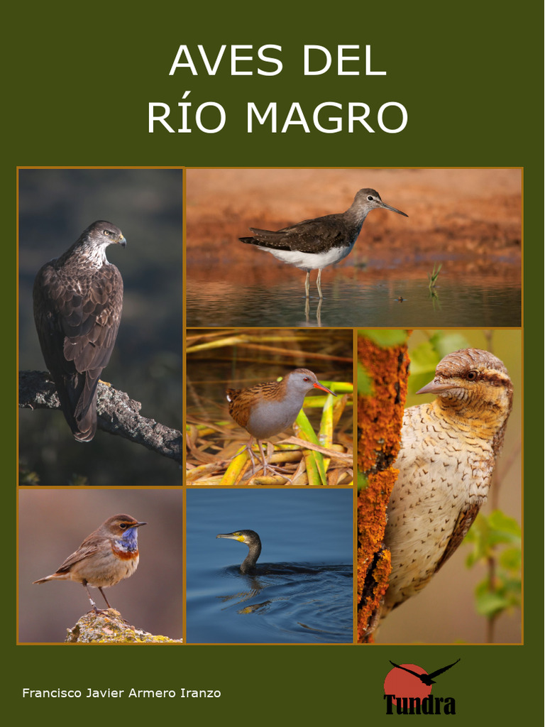 Aves del Río Magro: Estudio Ornitológico | PDF | Río | Aves