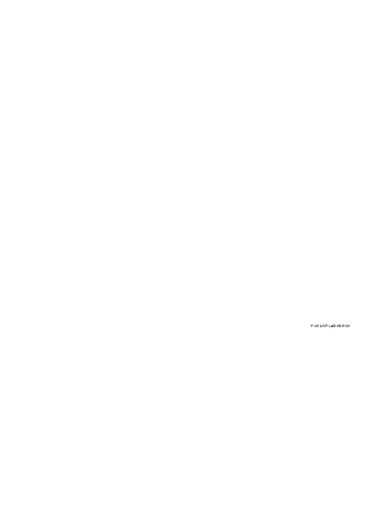 Format FJG | PDF