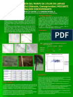 DETERMINACIÓN DEL MORFO DE COLOR EN LARVAS Poster Vigo 2003