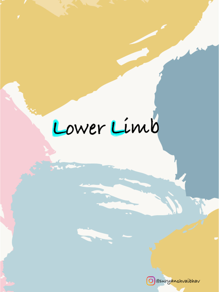 Lower Limb By Dr Ashwini Sir Pdf Human Leg Lower Limb Anatomy