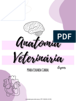 ANATOMIA-ORGAOS-cfjlfj 4362 1701952145 231207 192252