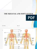 Skeletal System 4 NS Reg-1