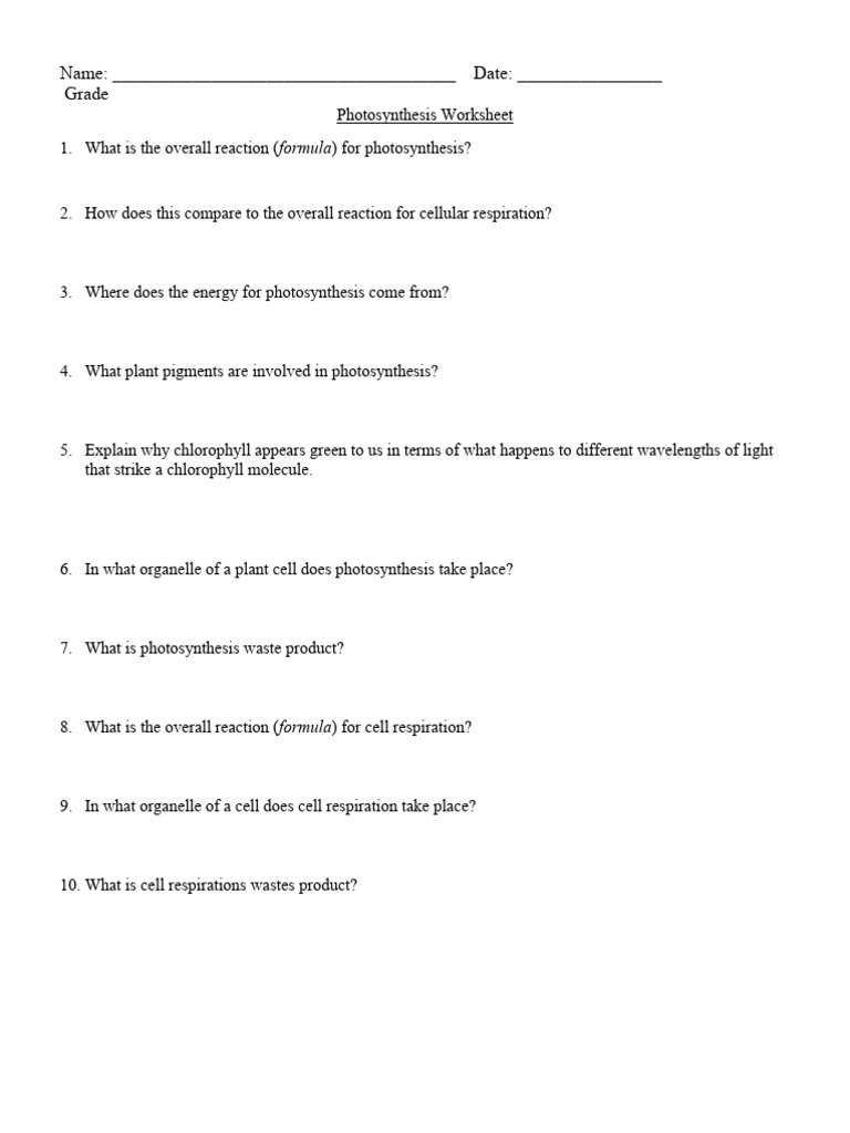Photosynthesis Worksheet | PDF | Photosynthesis | Cellular Respiration