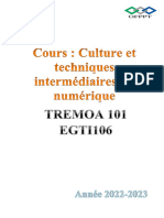 Culture Et Techniques Intermédiaires Du Numérique