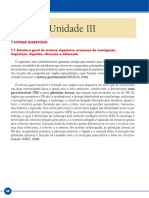 Unidfisiologia 3-1