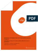 Rehabilitación en Intervenciones Neuropiscológicas de Trastorno Motor-Perceptivo