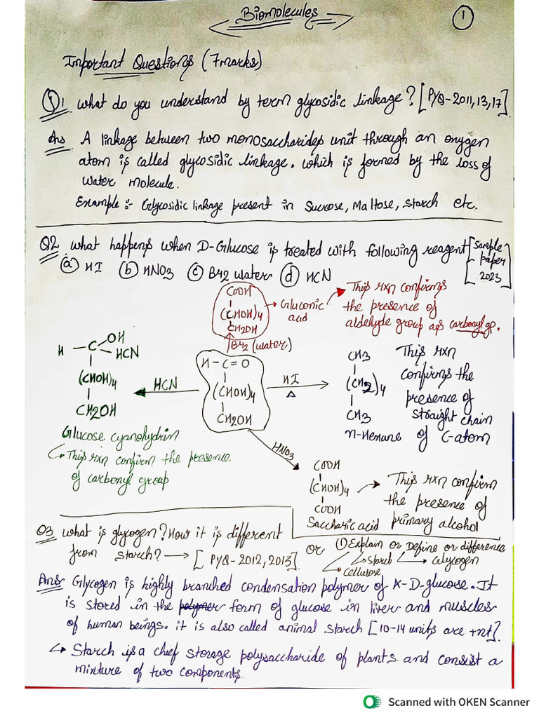 Biomolecules Important Question Answer Pdf