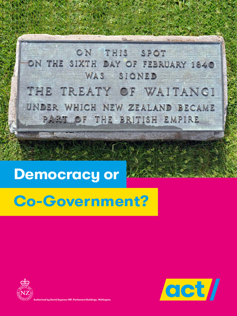 ACT CoGovernance 2023 PDF Māori People New Zealand