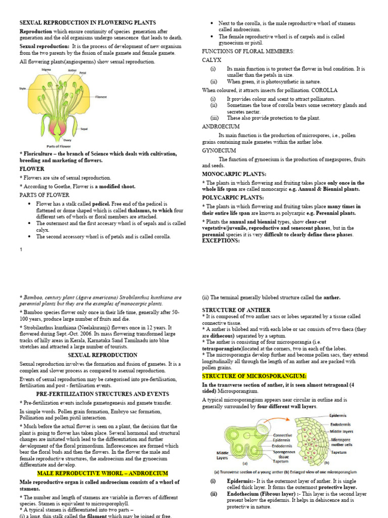 Sexual Reproduction in Flowering Plants | PDF