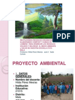 Sustentacion de Proyecto Ambiental