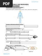 Modul Science F3 DLP