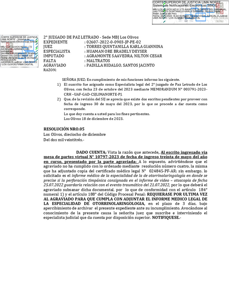 Exp. 02607-2022-0-0903-JP-PE-02 - Resolución - 00609-2024 | PDF
