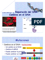 Mutaciones ADN 