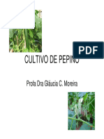 Cultivo de Pepino