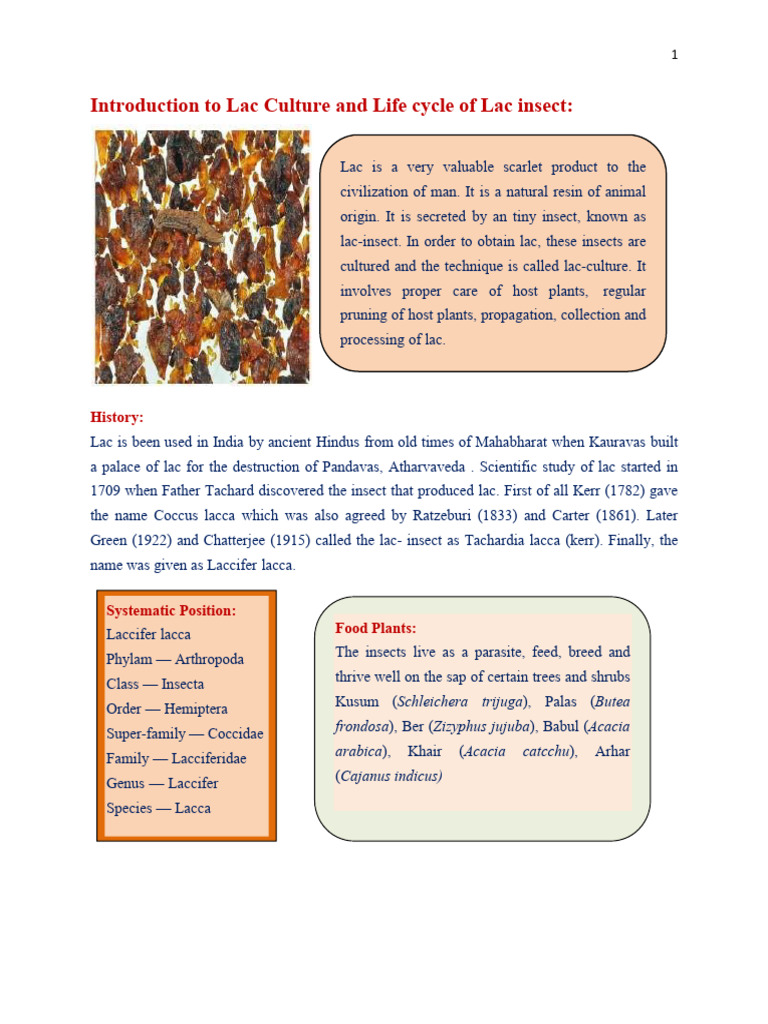 Life Cycle of Lac Lac Insect | PDF | Insects | Anatomical Terms Of Location