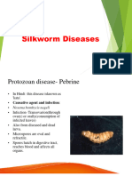 Silkworm Diseases