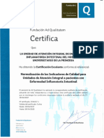 Unidades de EII Estandares de Calidad Indicadores Certificado