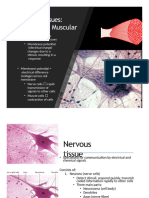 3 - 1050FA2022 - Blood and Heart - NOTES 1perpg